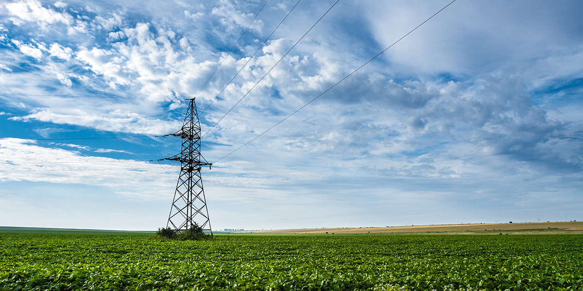 Agribusiness: Reguli noi privind racordarea la rețeaua de energie electrică și suportarea costurilor de către operatorul de distribuție
