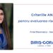 Criteriile ANAF pentru evaluarea riscului fiscal